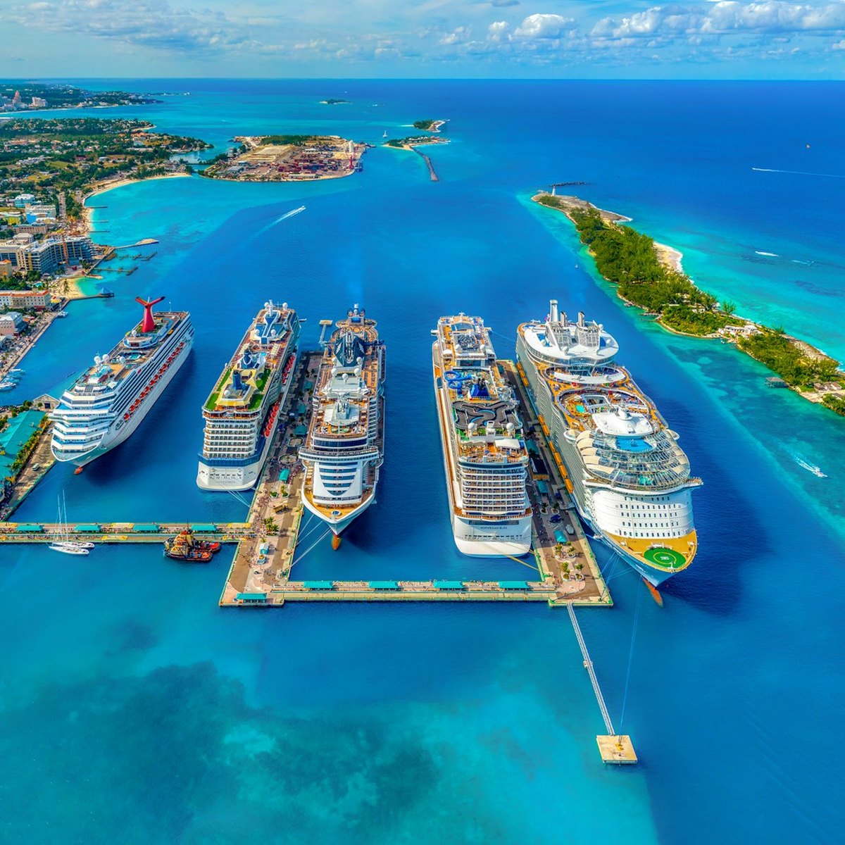 Cruise ships docked at a tropical port